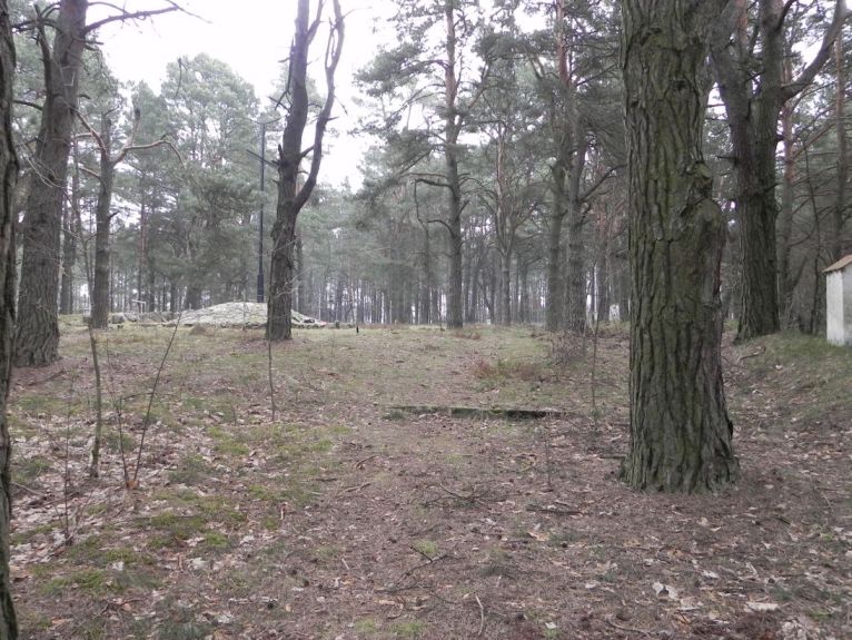 2011-04-17 Inowłódz - cm. z I wojny światowej (43)