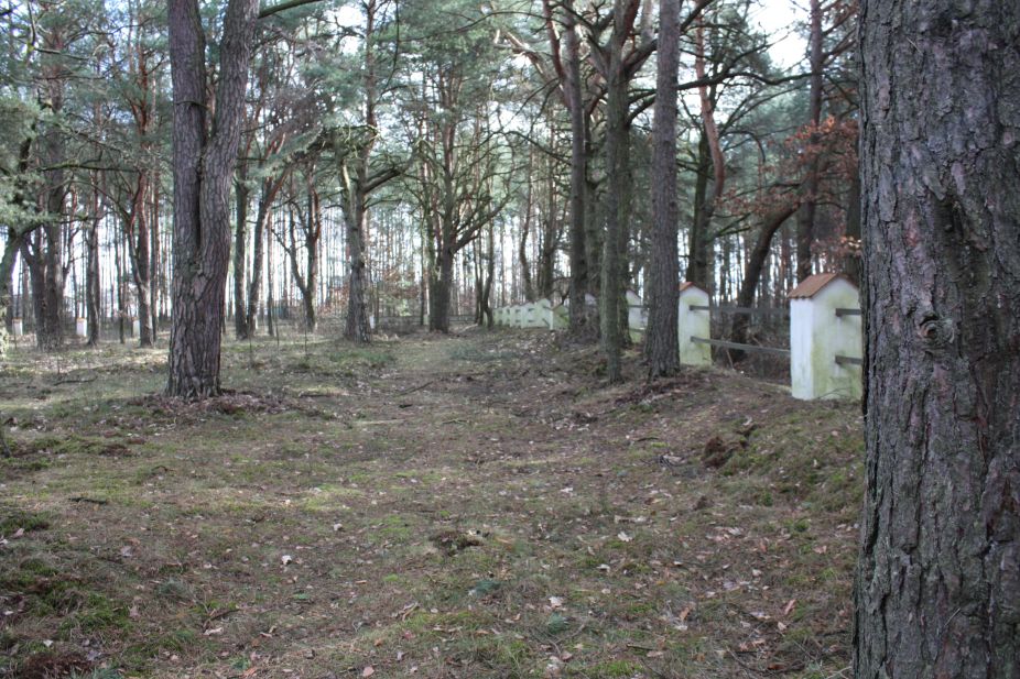 2019-03-10 Inowłódz - cm. z I wojny światowej (23)