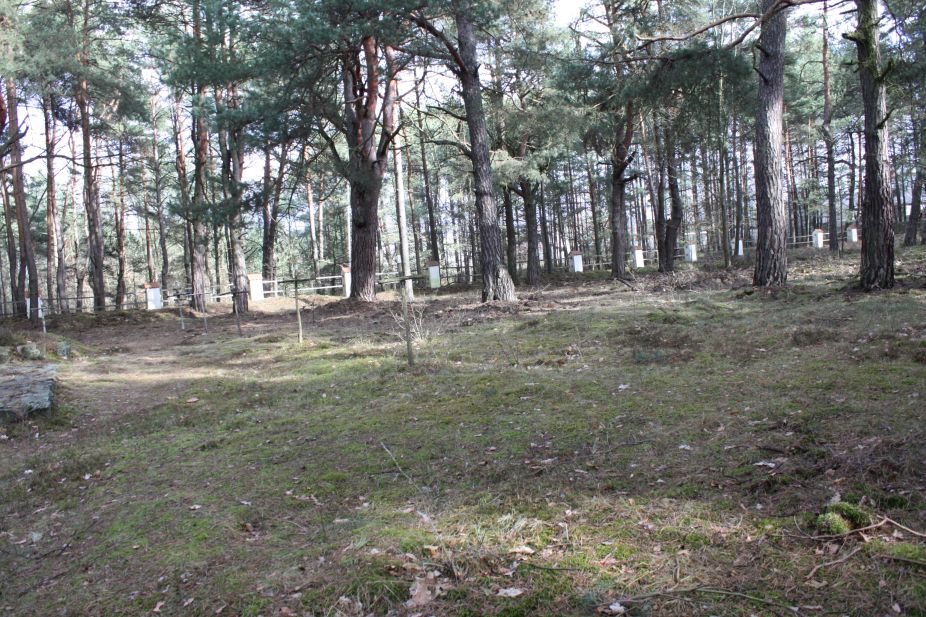 2019-03-10 Inowłódz - cm. z I wojny światowej (24)