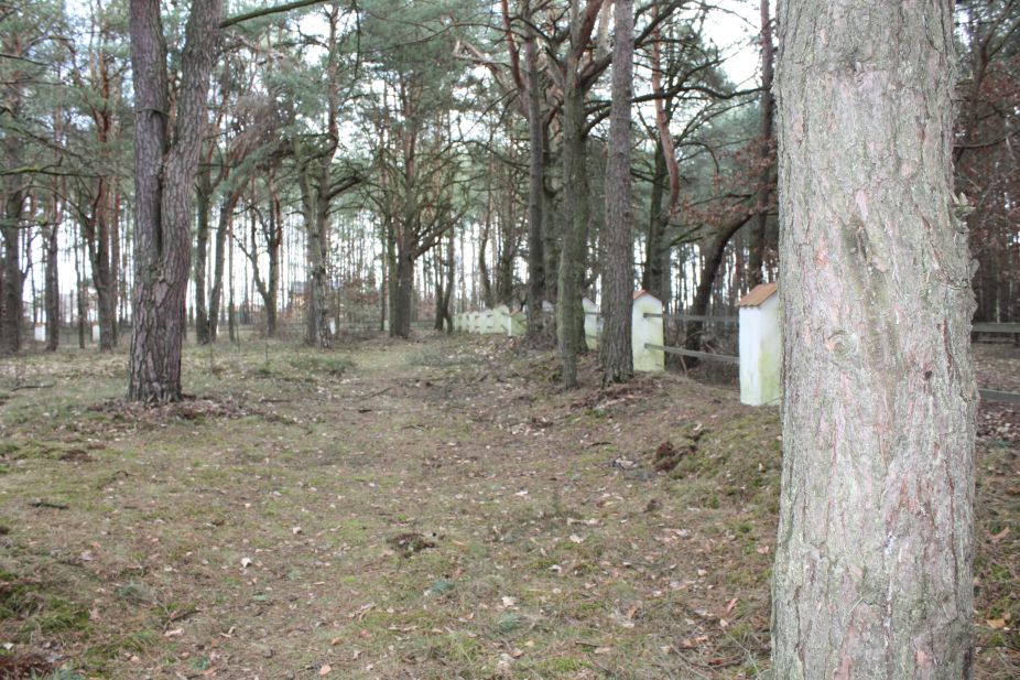 2019-03-10 Inowłódz - cm. z I wojny światowej (26)