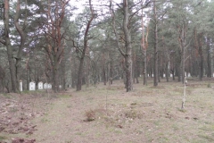 2011-04-17 Inowłódz - cm. z I wojny światowej (16)