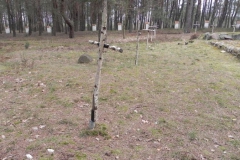 2011-04-17 Inowłódz - cm. z I wojny światowej (18)