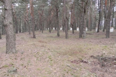 2011-04-17 Inowłódz - cm. z I wojny światowej (24)