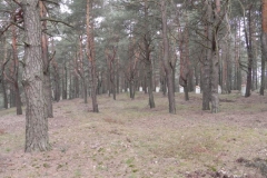 2011-04-17 Inowłódz - cm. z I wojny światowej (25)