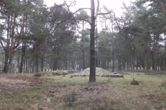 2011-04-17 Inowłódz - cm. z I wojny światowej (26)