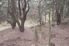 2011-04-17 Inowłódz - cm. z I wojny światowej (27)