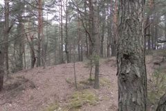 2011-04-17 Inowłódz - cm. z I wojny światowej (31)