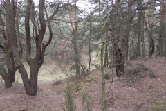 2011-04-17 Inowłódz - cm. z I wojny światowej (32)