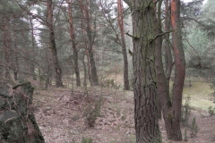 2011-04-17 Inowłódz - cm. z I wojny światowej (33)