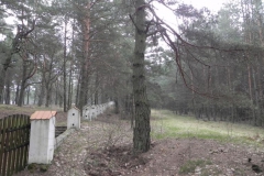 2011-04-17 Inowłódz - cm. z I wojny światowej (34)