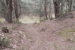 2011-04-17 Inowłódz - cm. z I wojny światowej (35)