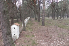 2011-04-17 Inowłódz - cm. z I wojny światowej (4)