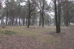 2011-04-17 Inowłódz - cm. z I wojny światowej (41)