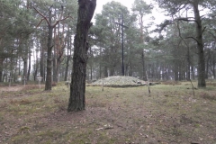 2011-04-17 Inowłódz - cm. z I wojny światowej (44)