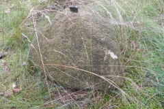 2011-07-26 Inowłódz - cm. z I wojny światowej (2)