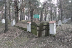 2014-04-10 Inowłódz - cm. z I wojny światowej (20)