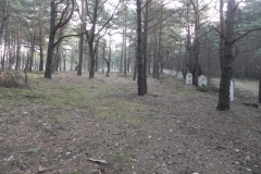 2014-04-10 Inowłódz - cm. z I wojny światowej (24)