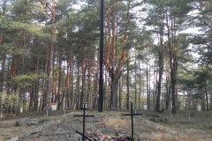 2014-04-10 Inowłódz - cm. z I wojny światowej (27)