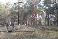 2014-04-10 Inowłódz - cm. z I wojny światowej (28)