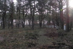 2014-04-10 Inowłódz - cm. z I wojny światowej (29)