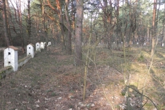 2014-04-10 Inowłódz - cm. z I wojny światowej (30)