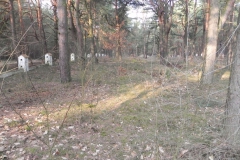 2014-04-10 Inowłódz - cm. z I wojny światowej (32)