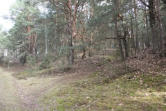 2019-03-10 Inowłódz - cm. z I wojny światowej (1)