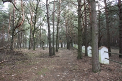 2019-03-10 Inowłódz - cm. z I wojny światowej (14)