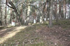 2019-03-10 Inowłódz - cm. z I wojny światowej (15)