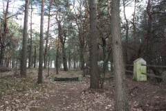 2019-03-10 Inowłódz - cm. z I wojny światowej (16)