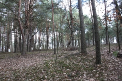 2019-03-10 Inowłódz - cm. z I wojny światowej (17)