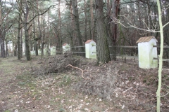 2019-03-10 Inowłódz - cm. z I wojny światowej (18)