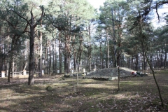 2019-03-10 Inowłódz - cm. z I wojny światowej (19)