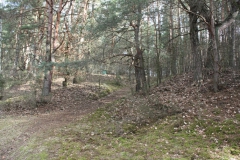 2019-03-10 Inowłódz - cm. z I wojny światowej (2)