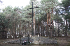 2019-03-10 Inowłódz - cm. z I wojny światowej (21)