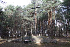 2019-03-10 Inowłódz - cm. z I wojny światowej (22)