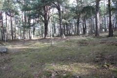 2019-03-10 Inowłódz - cm. z I wojny światowej (24)