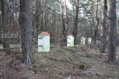 2019-03-10 Inowłódz - cm. z I wojny światowej (25)