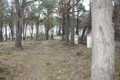 2019-03-10 Inowłódz - cm. z I wojny światowej (26)