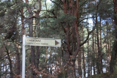 2019-03-10 Inowłódz - cm. z I wojny światowej (3)