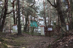 2019-03-10 Inowłódz - cm. z I wojny światowej (5)