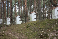 2019-03-10 Inowłódz - cm. z I wojny światowej (6)