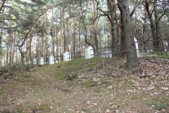 2019-03-10 Inowłódz - cm. z I wojny światowej (8)