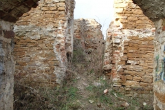 2007-02-06 Inowłódz - ruiny zamku (13)