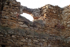 2007-02-06 Inowłódz - ruiny zamku (15)