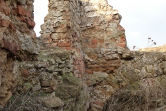 2007-02-06 Inowłódz - ruiny zamku (19)