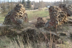 2007-02-06 Inowłódz - ruiny zamku (24)
