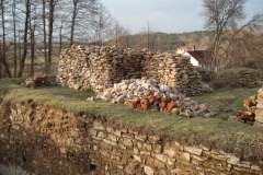 2007-02-06 Inowłódz - ruiny zamku (26)