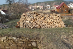 2007-02-06 Inowłódz - ruiny zamku (27)