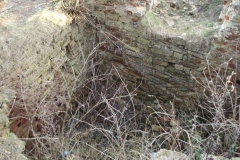 2007-02-06 Inowłódz - ruiny zamku (29)